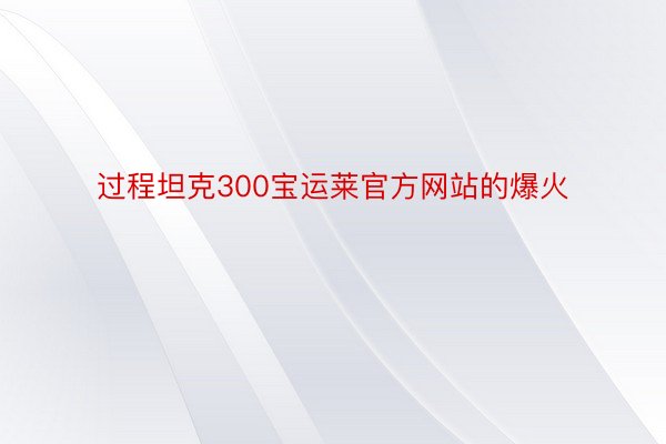 过程坦克300宝运莱官方网站的爆火