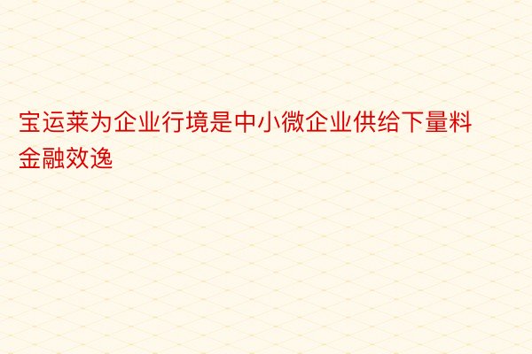 宝运莱为企业行境是中小微企业供给下量料金融效逸