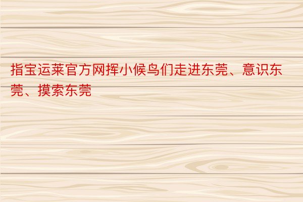 指宝运莱官方网挥小候鸟们走进东莞、意识东莞、摸索东莞