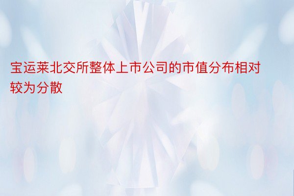 宝运莱北交所整体上市公司的市值分布相对较为分散